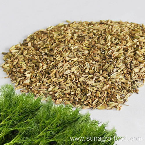 Natural Seed Anise Seed